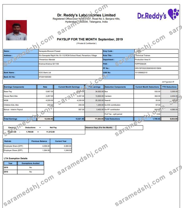 Dr. Reddy's Laboratories Limited pay stub in PDF and Word format